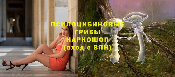 ешки Магас