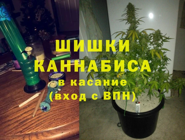 спайс Липки
