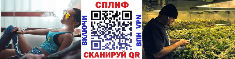 наркошоп  ссылка на мегу как зайти  Бошки марихуана Amnesia  Магадан 